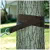 Algoma Hammock Tree Strap Kit, 7800 -US Sporting Goods Sales Shop sftp a s assets20201012000000043